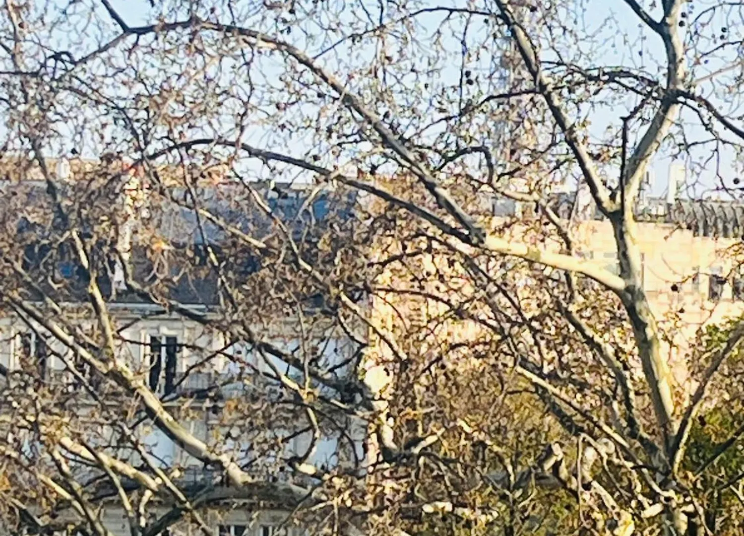 Place Equipe Au Coeur De Paris Avec Vue Sur L'Arc De Triomphe Et La Tour Eiffel 0*,
